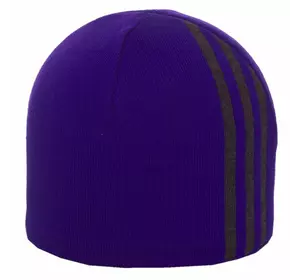Шапка 1202 фиолетовый-тсерый
